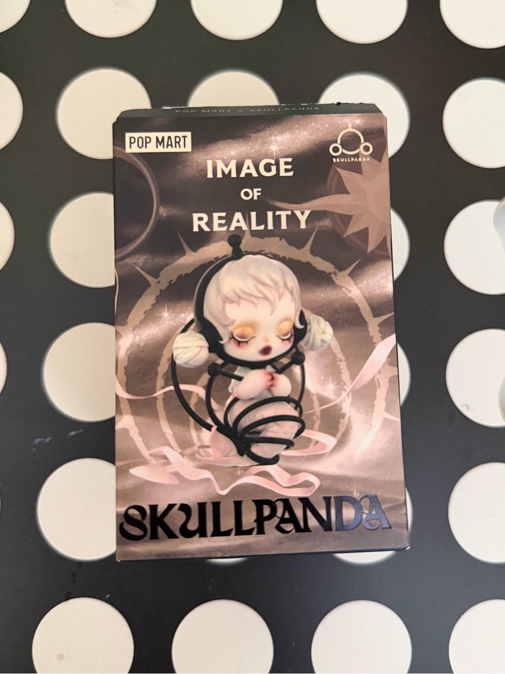 Skullpanda Image of Reality